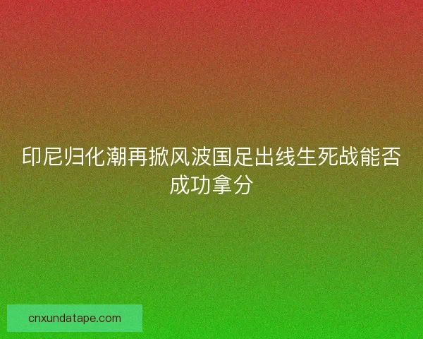印尼归化潮再掀风波国足出线生死战能否成功拿分 印尼归化潮再掀风波国足出线生死战能否成功拿分